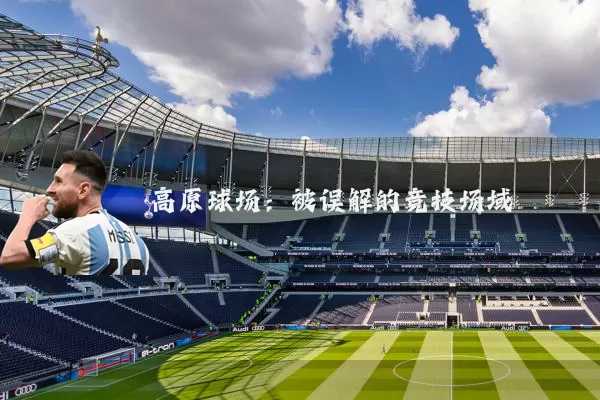 高原球场：被误解的竞技场域